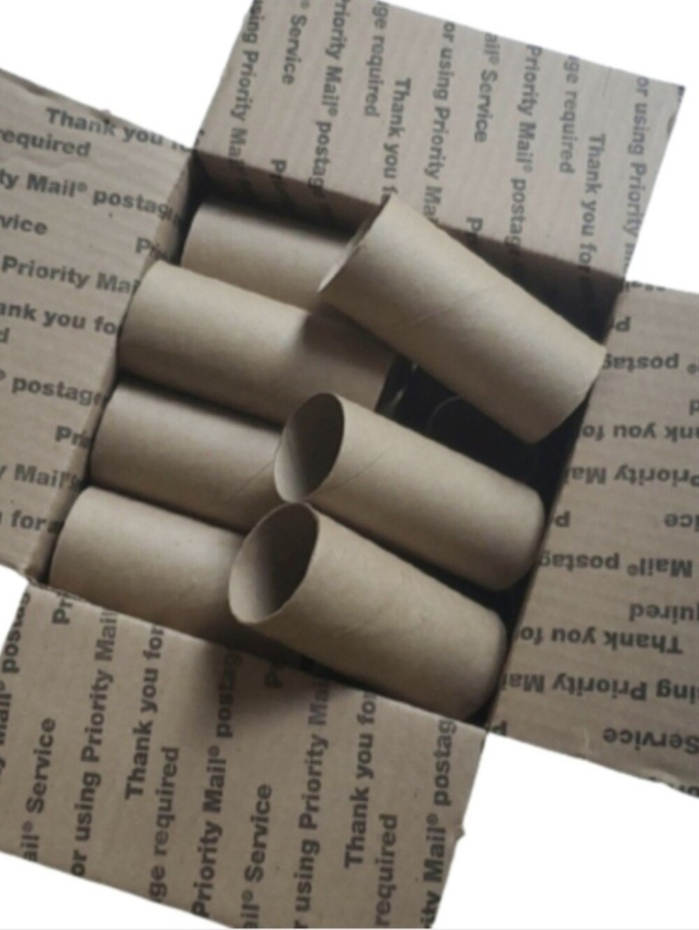 Empty Toilet Paper Rolls For Crafts-18 Count